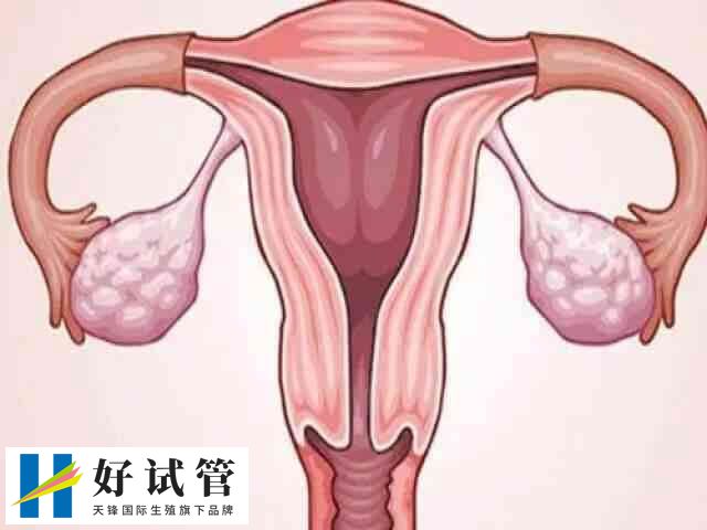 试管移植内膜厚度多少最好