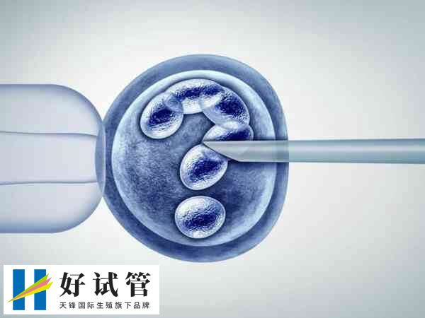 内膜厚度是影响移植成功率的因素之一
