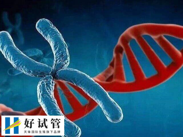 染色体缺失做试管婴儿的费用因人而异