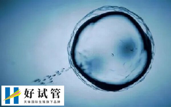 鲜胚移植成功后乳房会变得柔软