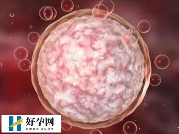 试管婴儿胚胎碎片多改善方法是什么