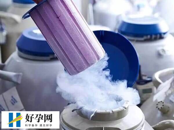 冻卵的适应症有哪些