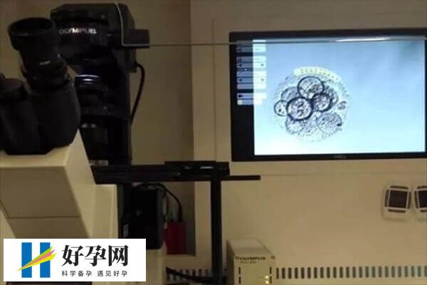 三代试管婴儿流程是怎样的